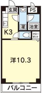 MUSE ONE 305【間取図】 999999 (２号室・５号室並び.jpg)